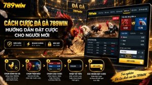 Cách Cược Đá Gà 789WIN – Hướng Dẫn Đặt Cược Chi Tiết
